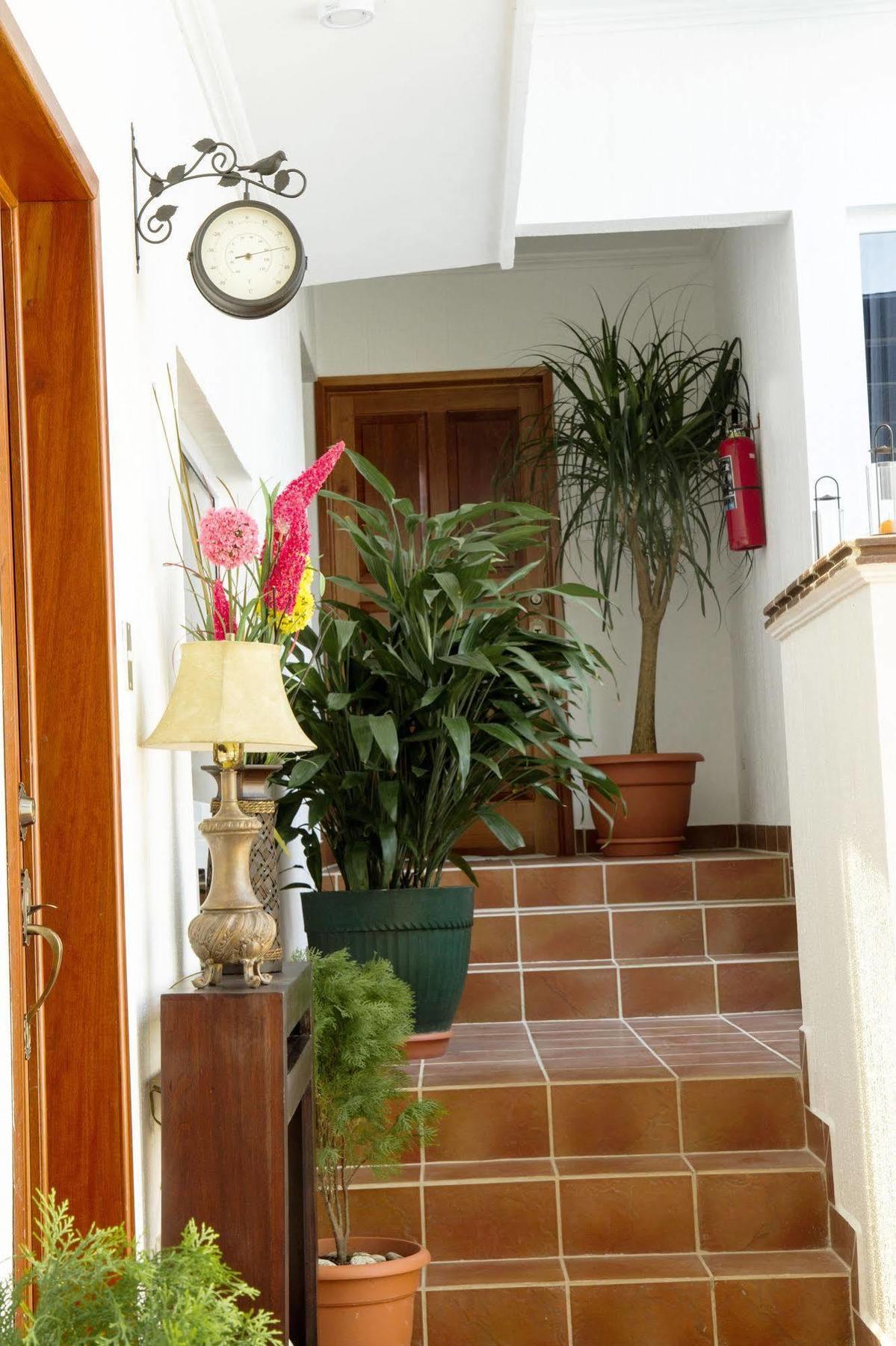 Flores Hotel Boutique Экстерьер фото